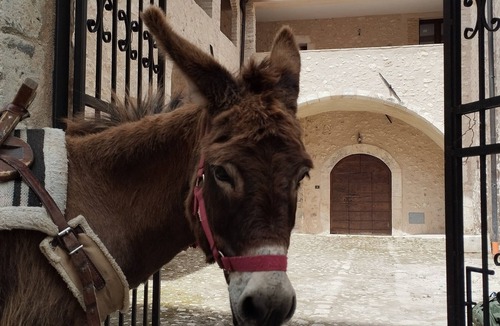 Goriano Valli Apartment | Holiday home “Orso” - Spacious apartment in a historic palazzo