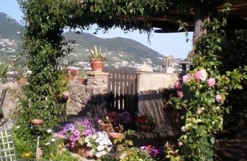 Ischia Porto Apartment | holiday rental ischia
