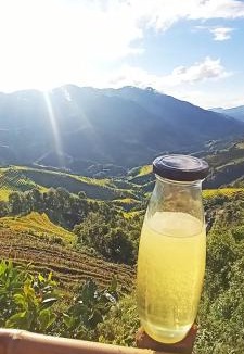 Mu Cang Chai House | Homestay Chù Chỏ