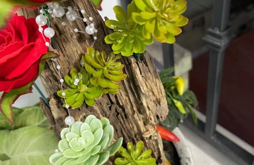 Le Chan Apartment | Homestay giữa trung tâm Hải Phòng