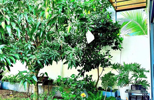 An Thoi House | HOMESTAY HALONA