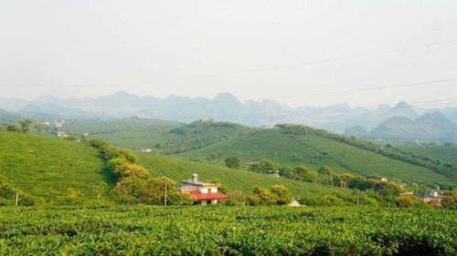Moc Chau House | Homestay Moc Chau