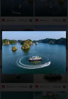 Cat Ba House | Homestay Thanh Long