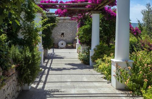 Anacapri Hotel | Hotel Al Mulino - Mediterranean Garden Retreat in AnaCapri