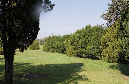 Zona XLV Castel di Guido Hotel | Hotel Boomerang Roma