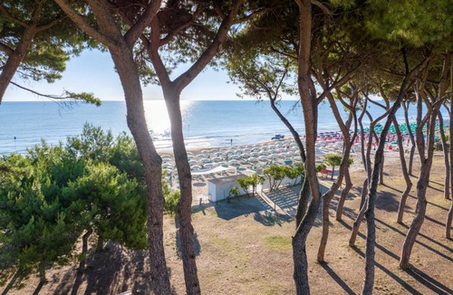 Pineto Hotel | Hotel La Pineta