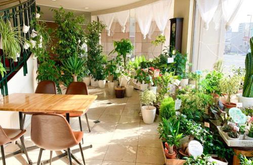 Kitami Hotel | Hotel Royal Kitami - Vacation STAY 04905v