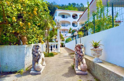 Casamicciola Terme Hotel | Hotel Villa Fiorentina