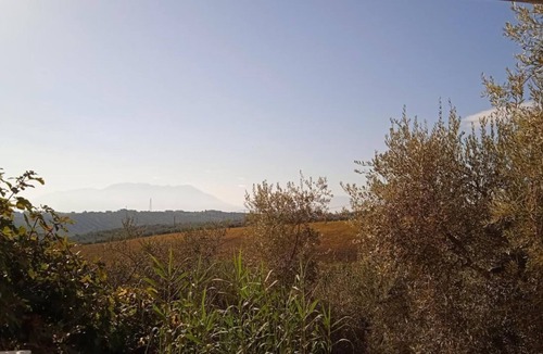 Moscufo House | House in the countryside surrounded by olive trees, with garden and terrace