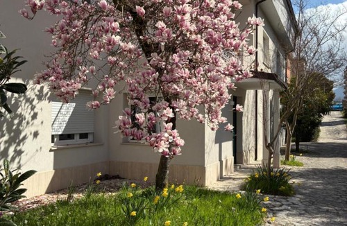 Isernia House | Il giardino di Silvia