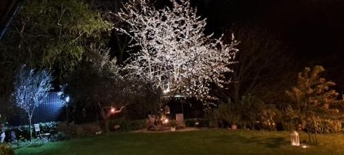 Rocca di Papa House | Il giardino segreto