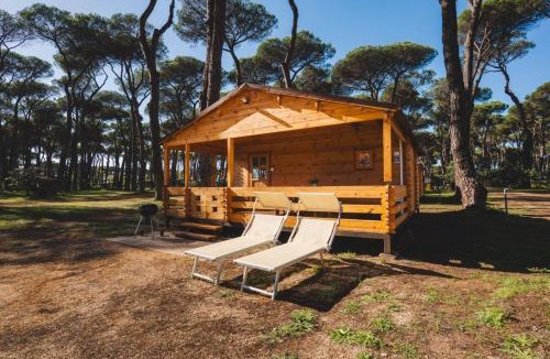 Nettuno Other | ISOLA VERDE Camping Village
