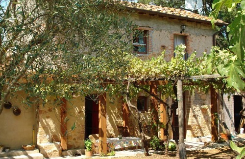 Civitella Paganico House | July/Aug still available! Secluded location! Olives, open fireplace! Pets allowed!