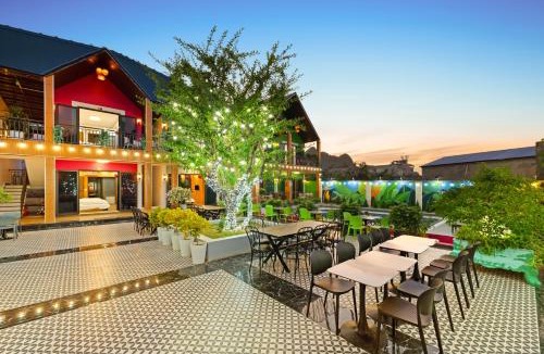 Tran Chau Hotel | Kangaroo homestay