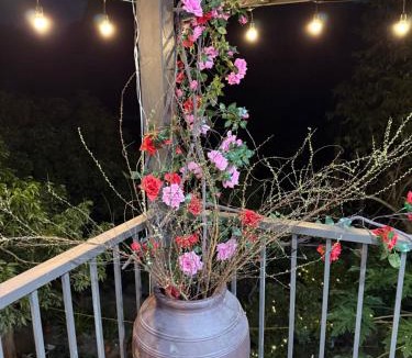 Cat Hai Bed & Breakfast | Kingfisher Nest