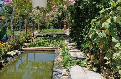Dien Khanh Villa | Lộc Rừng Hill