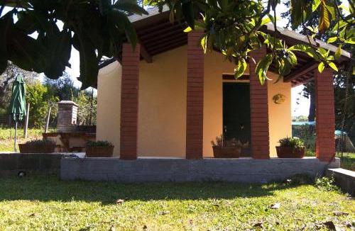 Lanciano House | L'albero delle noci