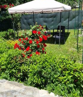 Castelpetroso Bed & Breakfast | L'angolo fiorito