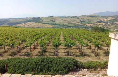 Castilenti Villa | La Bella Addormentata