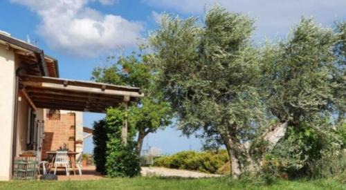 Castilenti Villa | La Bella Addormentata