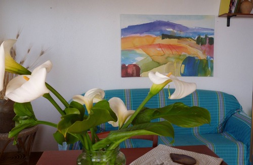Marina di Zambrone Apartment | LA CASA DELL OLMO apartment overlooking the sea and the Aeolian Islands, Zambrone Marina / Tropea