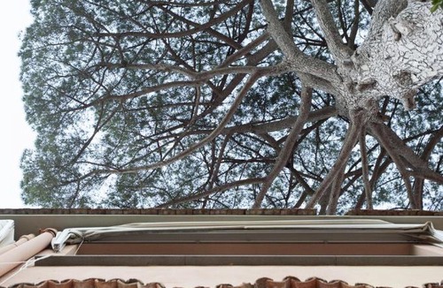 Ravello Apartment | La Casa di Carla