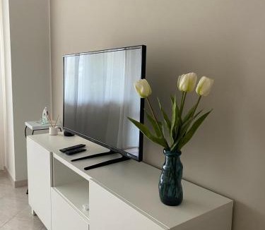 Zona XXXIII Acilia Sud Apartment | La Casa di Carlotta e Camilla