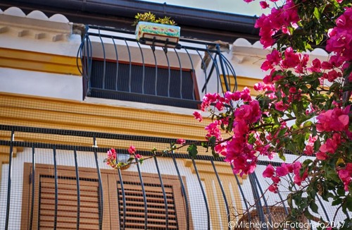 San Nicola Arcella Bed & Breakfast | La Casa di Ivana