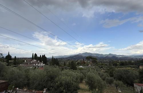 Fonte Nuova Apartment | La casa tra gli ulivi di Fonte Nuova
