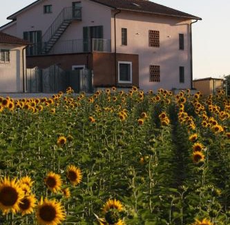 Montecastrilli House | La Collina del Girasole