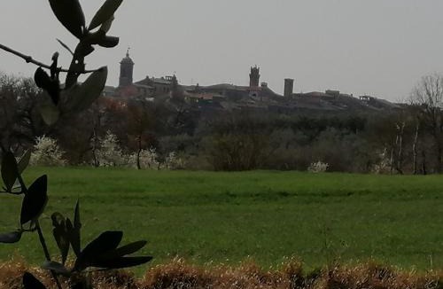 Torrita di Siena Apartment | La Dimora degli Olivi