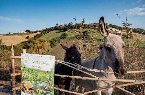 Marciano House | La Fattoria delle Coccinelle