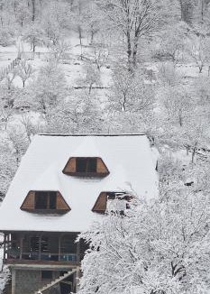 Birsana House | La Mona