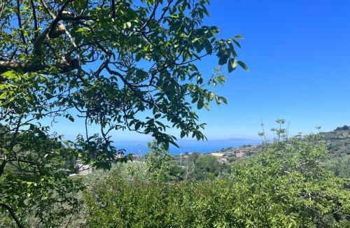 Schiazzano House | La Noce Holiday House