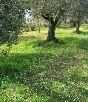 Albano Laziale Apartment | La nostra casetta