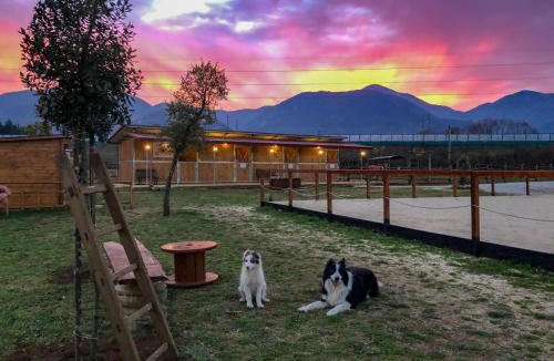 Patrica House | La Tenuta del Campo di Sopra