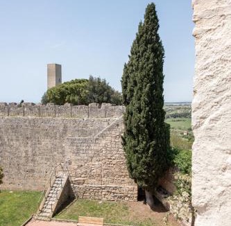 Tarquinia Apartment | LA TORRE DELLA RIPA