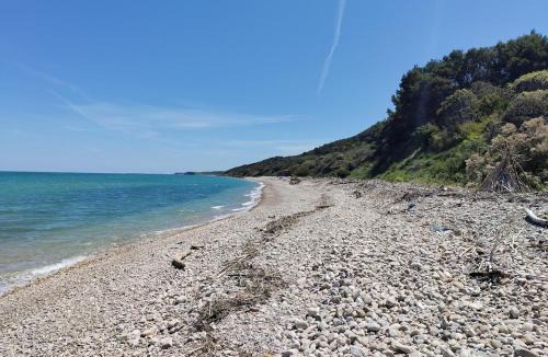 Vasto Villa | La Volpe Nella Pineta