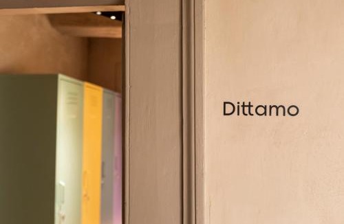 Collepardo Bed & Breakfast | Le erbe magiche
