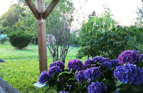 Egletons House | Le petit nid