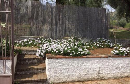 Marina Di Camerota Apartment | Le Rose