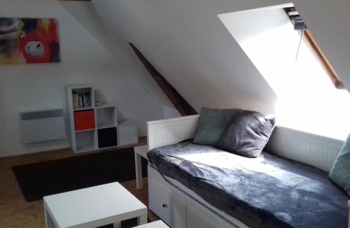 Malicorne-sur-Sarthe Apartment | Loft