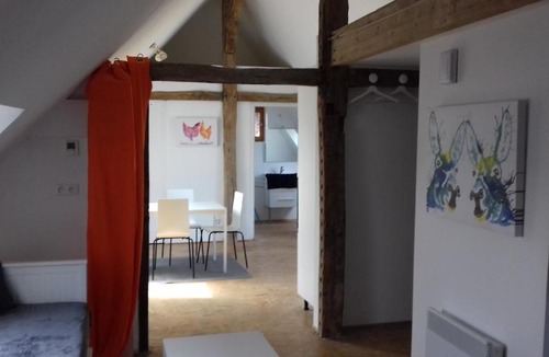 Malicorne-sur-Sarthe Apartment | Loft