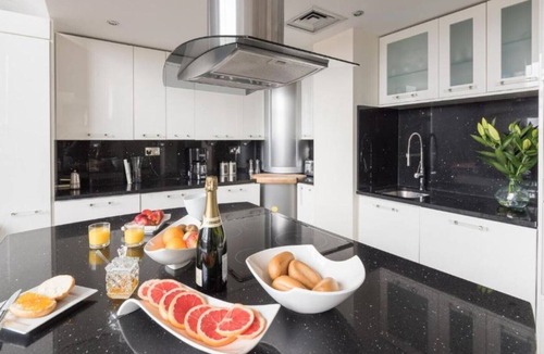 Island Gardens Apartment | London Canary Wharf Riverside Penthouse Apartment