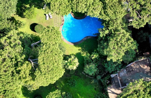 Fregenae Villa | Luxury Villa with Swimming Pool Surrounded by Fregene Ancient Pine Forest