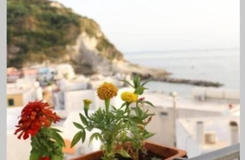 Sant'Angelo Apartment | Maadry House apartment 1