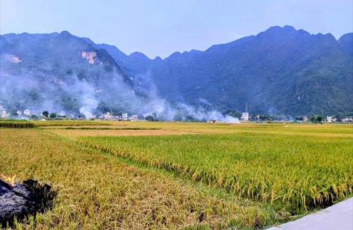 Mai Chau House | mai chau rice fields homestay