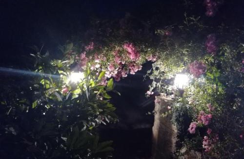 Chalais Bed & Breakfast | Maison Du Cheval