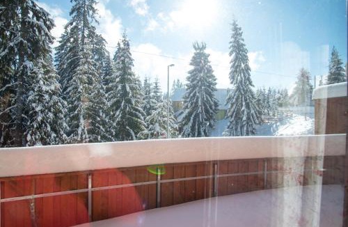 Harghita-Bai Ski Chalet | Mandel családi pihenőház