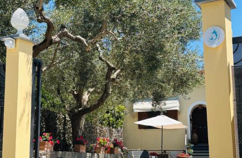 Sant'Agata sui Due Golfi House | Marysa's house - FiordoCrapolla